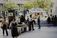 imgi_34_img_6624