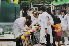 imgi_66_img_6475